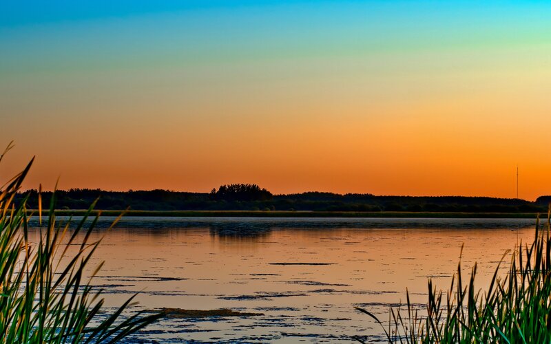 Sunset over Lake — Orange, Serene, Photograph, Reeds, Trees