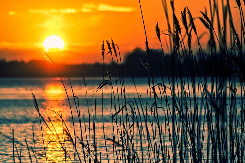 Sunset over Lake — Orange, Serene, Photograph, Reeds, Water, Sky