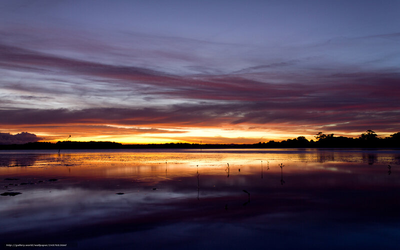 Sunset over Lake — Orange, Serene, Photograph, Sky, Clouds, Trees, Plants