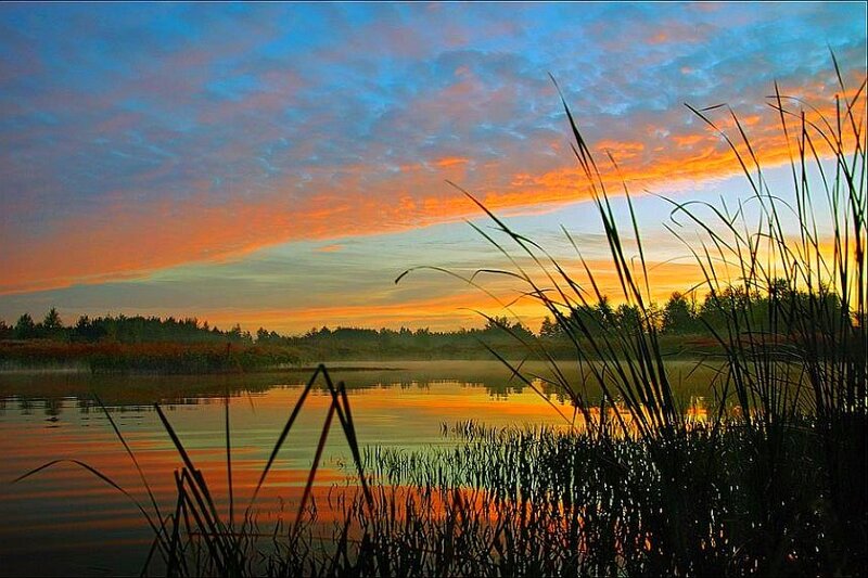 Sunset over Lake — Orange, Serene, Photograph, Sky, Water, Reeds, Blue