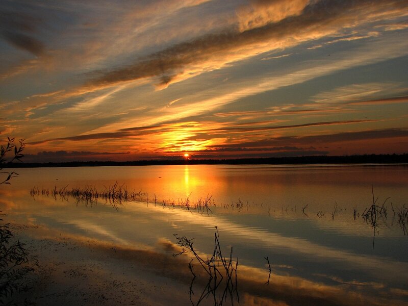 Sunset over Lake — Orange, Serene, Photograph, Sun, Clouds, Water, Reeds
