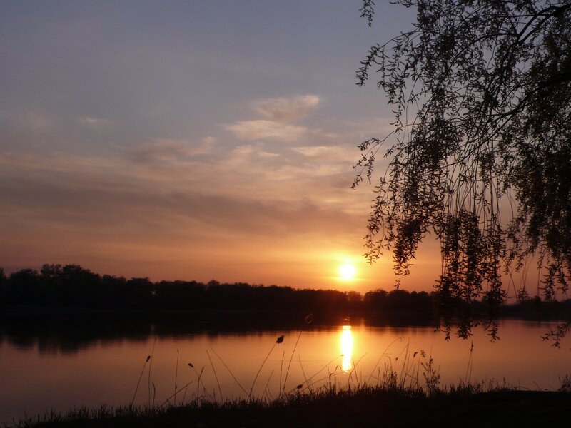 Sunset over Lake — Orange, Serene, Photograph, Sun, Tree