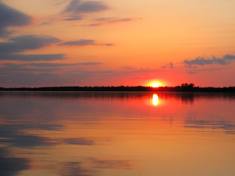 Sunset over Lake — Orange, Serene, Photograph, Sun, Trees, Clouds