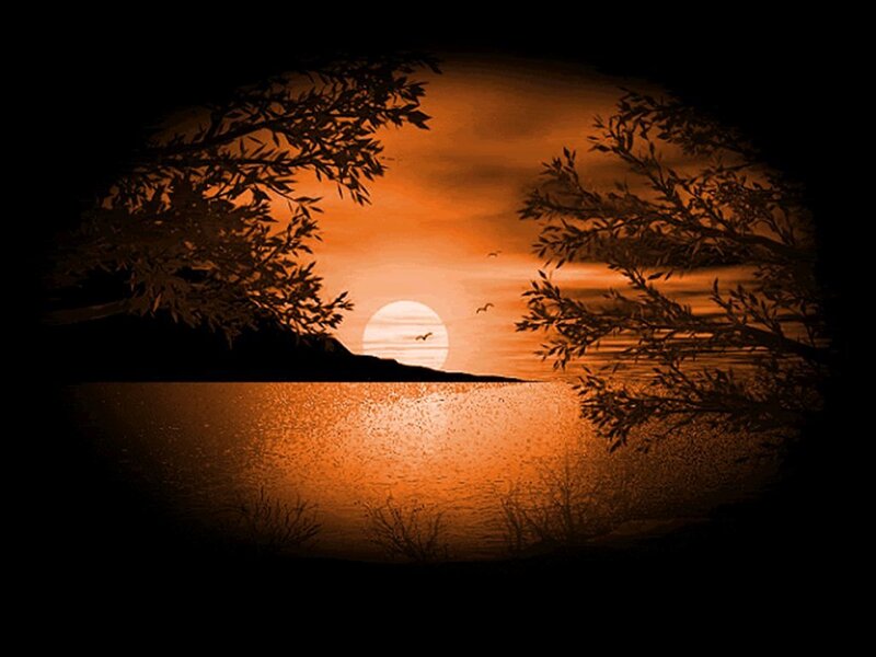 Sunset over Lake — Orange, Serene, Photograph, Sun, Trees