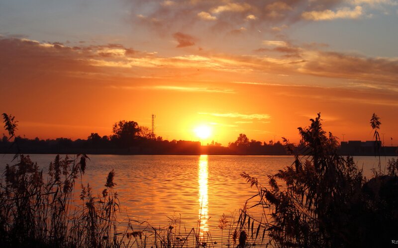 Sunset over Lake — Orange, Serene, Photograph, Sun, Water, Reeds