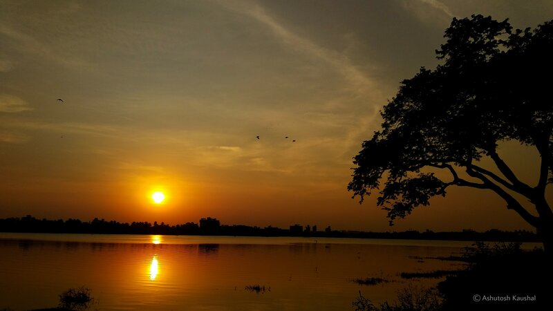 Sunset over Lake — Orange, Serene, Photograph, Tree, Birds