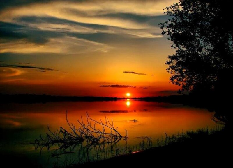 Sunset over Lake — Orange, Serene, Photograph, Tree, Branch