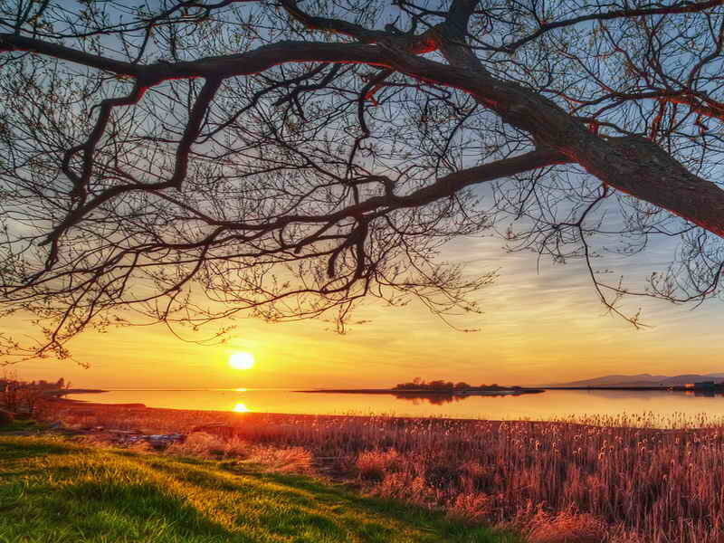 Sunset over Lake — Orange, Serene, Photograph, Tree Branches, Sky