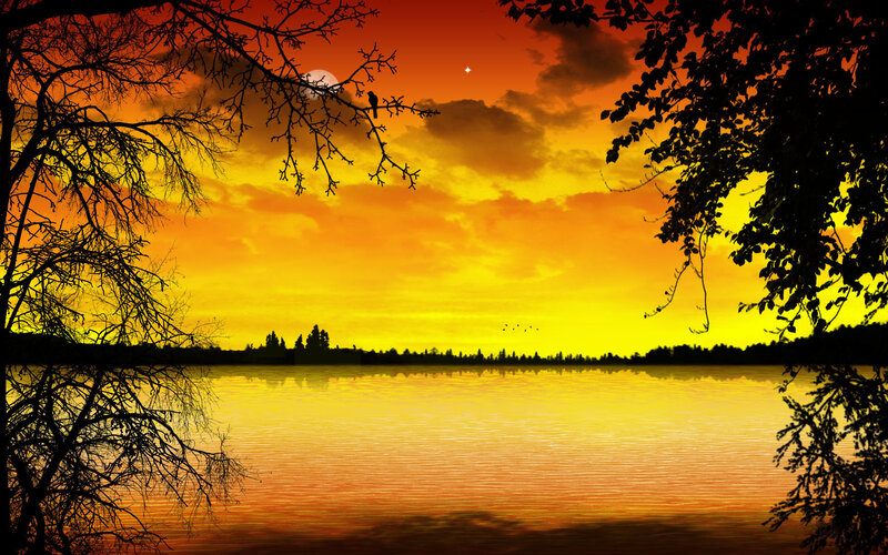 Sunset over Lake — Orange, Serene, Photograph, Tree Branches
