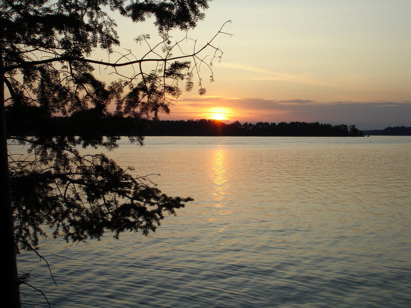Sunset over Lake — Orange, Serene, Photograph, Tree Branches, Water