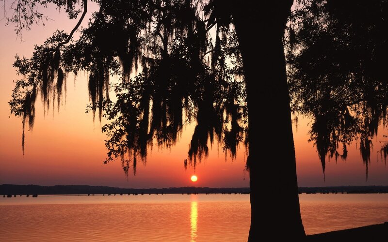 Sunset over Lake — Orange, Serene, Photograph, Tree, Moss
