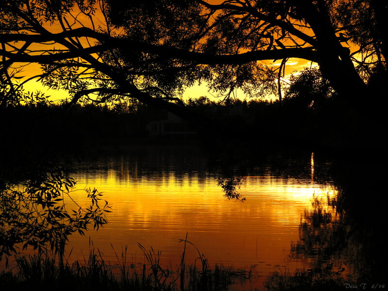 Sunset over Lake — Orange, Serene, Photograph, Tree, Reflection
