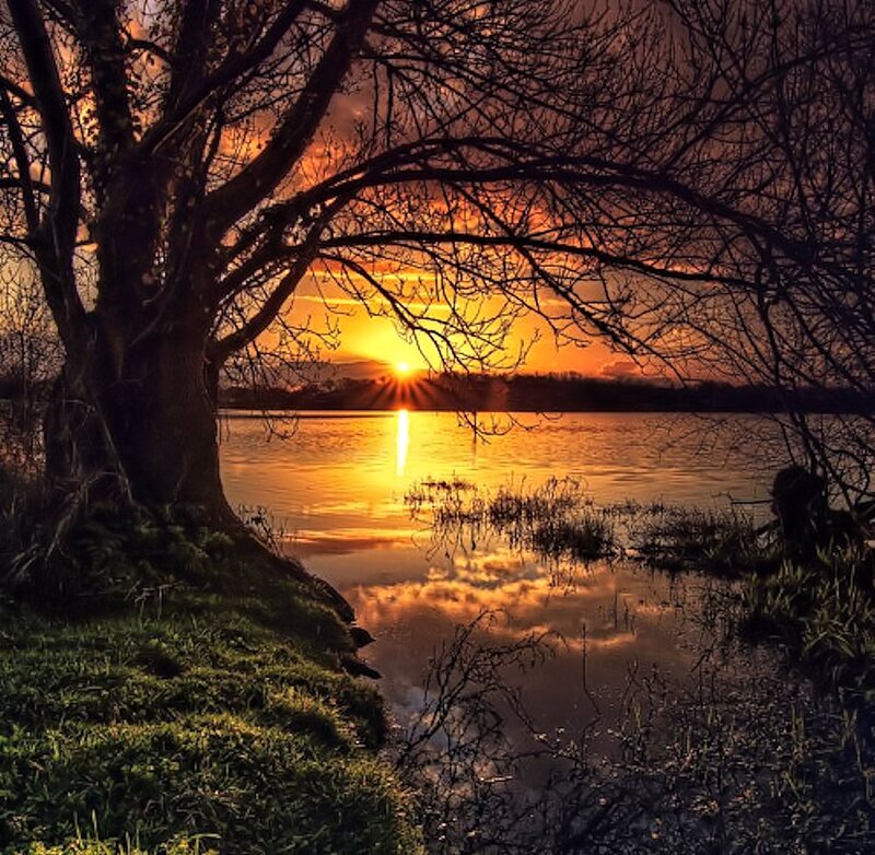 Sunset over Lake — Orange, Serene, Photograph, Tree, River