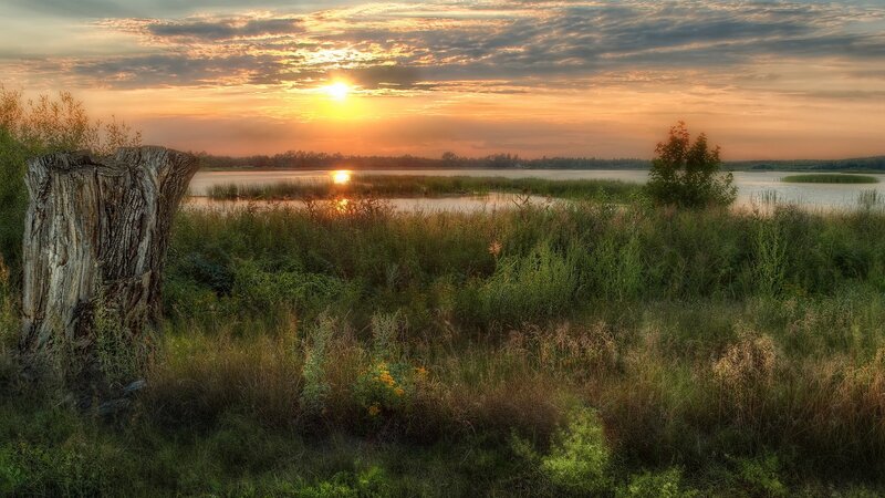 Sunset over Lake — Orange, Serene, Photograph, Tree Stump
