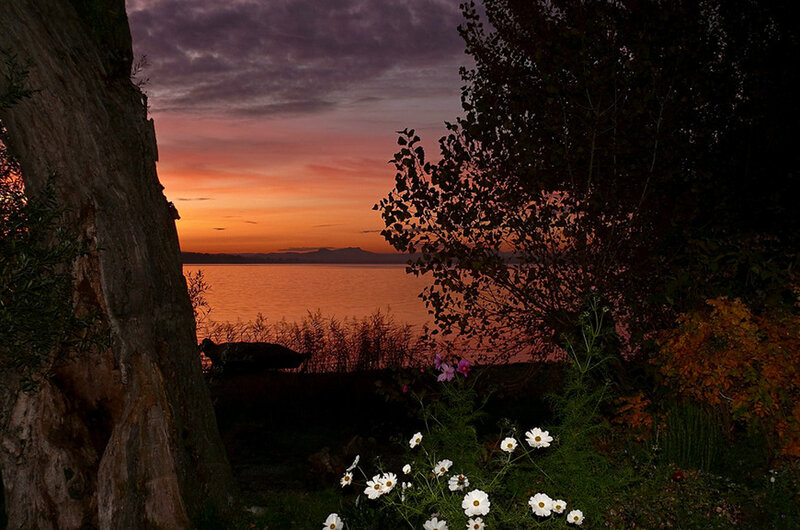 Sunset over Lake — Orange, Serene, Photograph, Tree