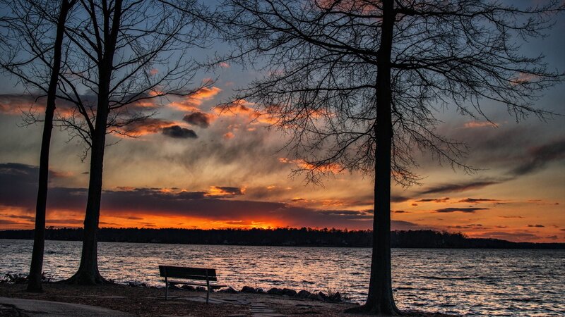 Sunset over Lake — Orange, Serene, Photograph, Trees, Bench