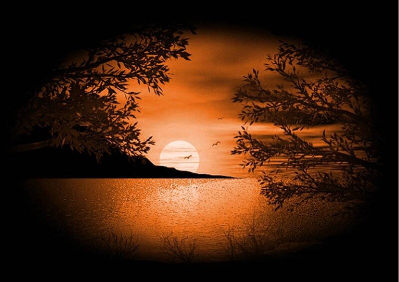 Sunset over Lake — Orange, Serene, Photograph, Trees, Birds, Sun