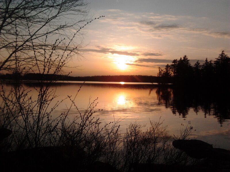 Sunset over Lake — Orange, Serene, Photograph, Trees, Branches, Sun