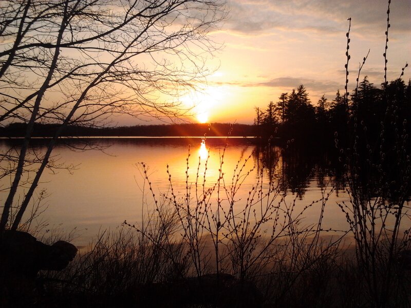 Sunset over Lake — Orange, Serene, Photograph, Trees, Branches