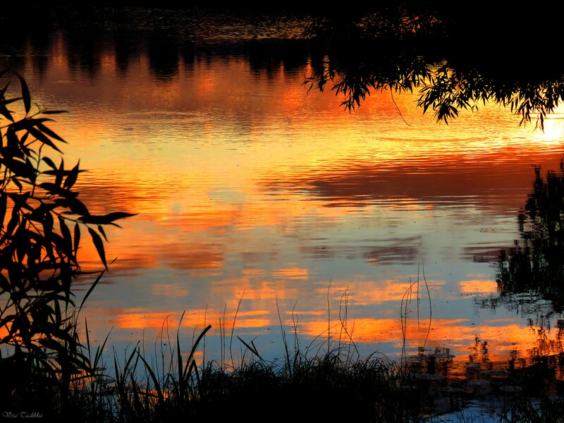 Sunset over Lake — Orange, Serene, Photograph, Trees, Grass, Reflection