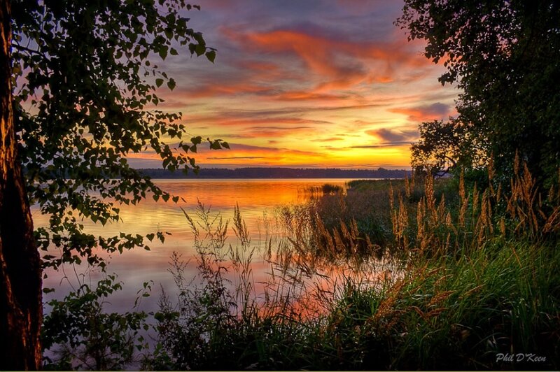 Sunset over Lake — Orange, Serene, Photograph, Trees, Grass
