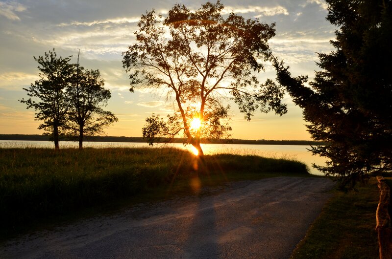 Sunset over Lake — Orange, Serene, Photograph, Trees, Path