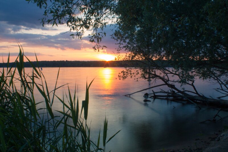 Sunset over Lake — Orange, Serene, Photograph, Trees, Reeds, Driftwood