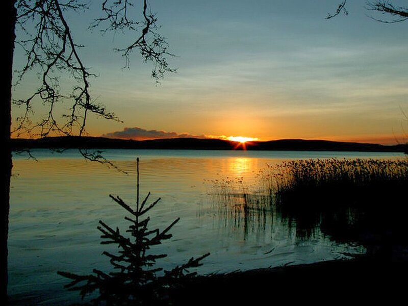 Sunset over Lake — Orange, Serene, Photograph, Trees, Reeds