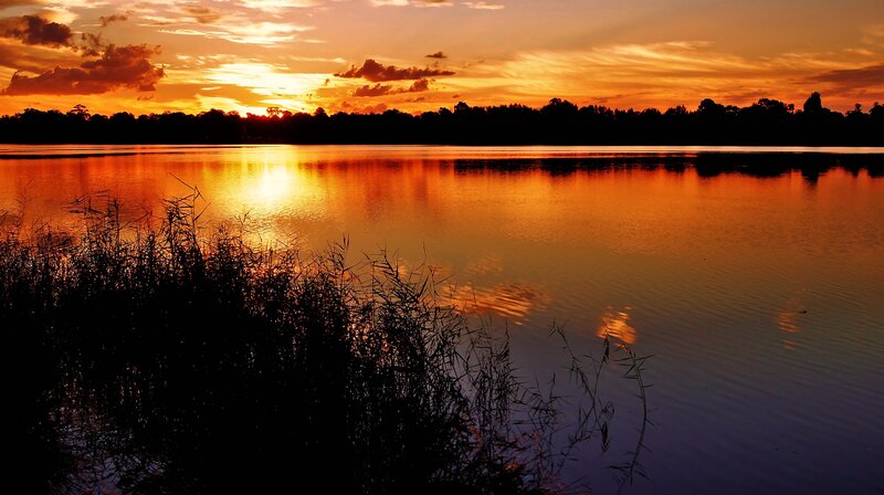 Sunset over Lake — Orange, Serene, Photograph, Trees, Sky, Grass