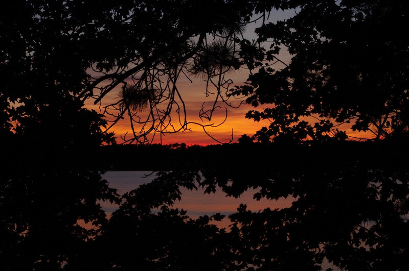 Sunset over Lake — Orange, Serene, Photograph, Trees, Sky, Water, Black