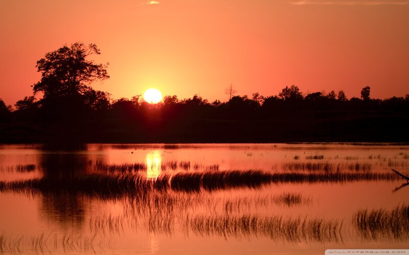 Sunset over Lake — Orange, Serene, Photograph, Trees, Sun, Grass