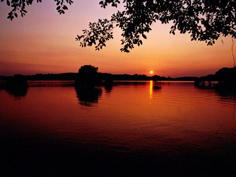 Sunset over Lake — Orange, Serene, Photograph, Trees, Sun, Water, Red