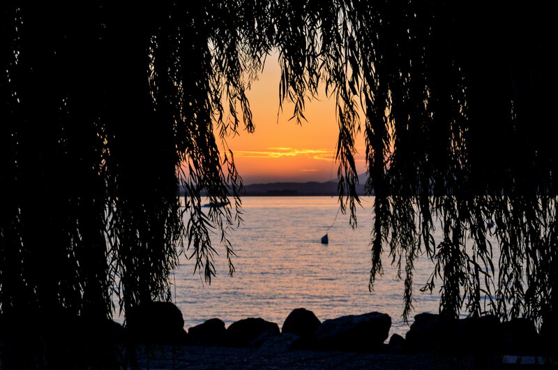 Sunset over Lake — Orange, Serene, Photograph, Willow Tree, Rocks