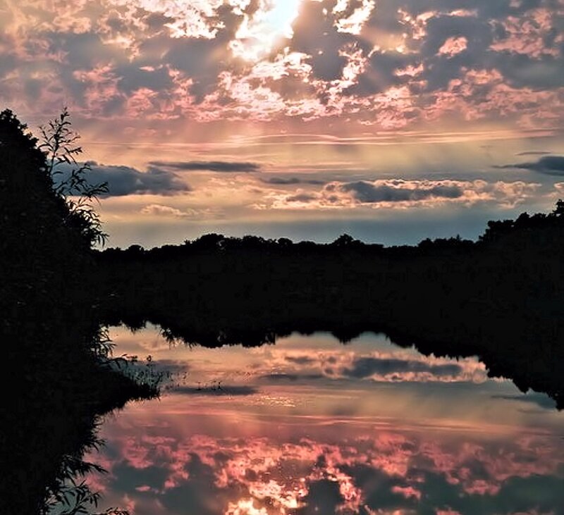 Sunset over Lake — Pink, Serene, Photograph, Clouds, Trees, Reflection