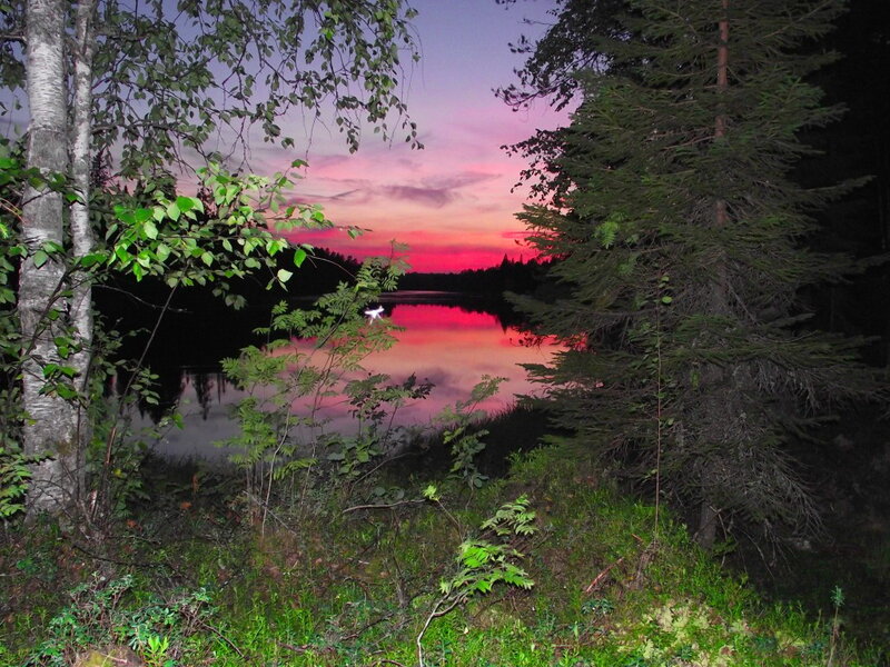 Sunset over Lake — Pink, Serene, Photograph, Trees, Sky, Reflection