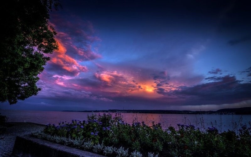 Sunset over Lake — Purple, Dramatic, Photograph, Clouds, Flowers
