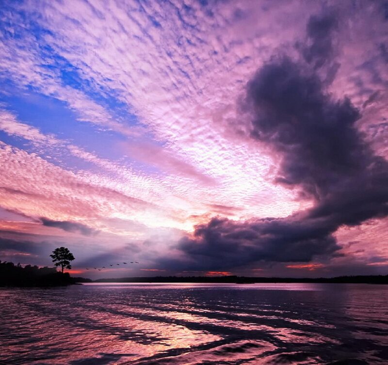 Sunset over Lake — Purple, Dramatic, Photograph, Clouds, Tree