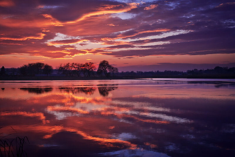 Sunset over Lake — Purple, Dramatic, Photograph, Clouds, Trees
