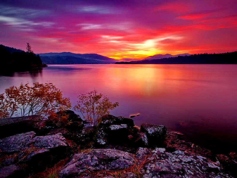 Sunset over Lake — Purple, Dramatic, Photograph, Mountains, Trees