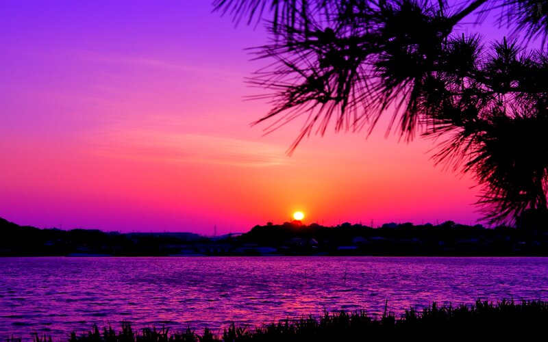 Sunset over Lake — Purple, Dramatic, Photograph, Pine Tree
