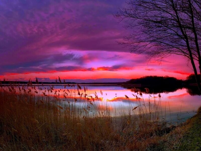 Sunset over Lake — Purple, Dramatic, Photograph, Reeds