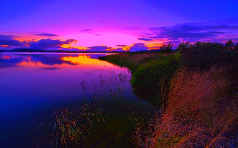 Sunset over Lake — Purple, Dramatic, Photograph, Sky, Water, Grass