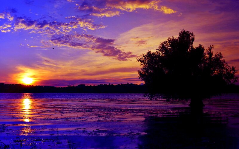 Sunset over Lake — Purple, Dramatic, Photograph, Tree