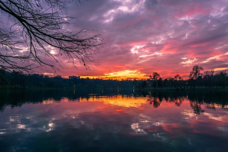 Sunset over Lake — Purple, Dramatic, Photograph, Trees, Clouds, Branch