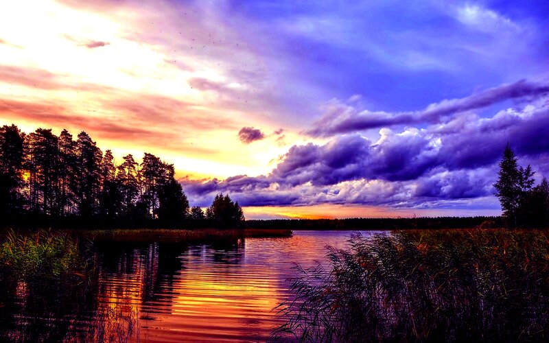 Sunset over Lake — Purple, Dramatic, Photograph, Trees, Clouds, Reeds