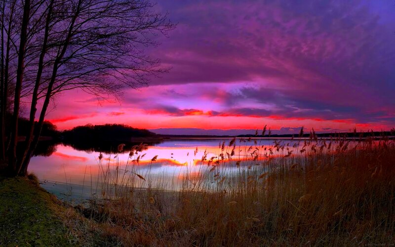 Sunset over Lake — Purple, Dramatic, Photograph, Trees, Reeds, Sky