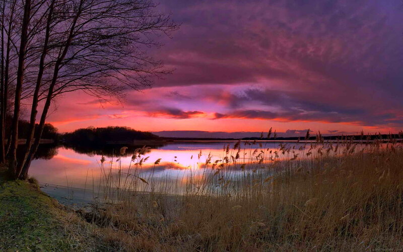 Sunset over Lake — Purple, Dramatic, Photograph, Trees, Reeds