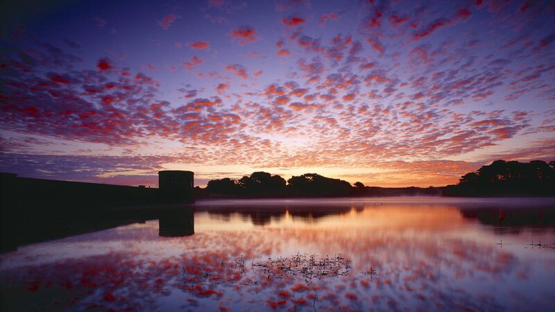 Sunset over Lake — Purple, Serene, Photograph, Clouds, Trees, Building