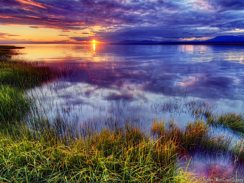 Sunset over Lake — Purple, Serene, Photograph, Grass