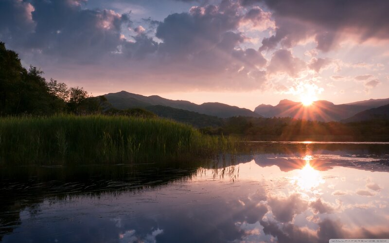 Sunset over Lake — Purple, Serene, Photograph, Mountains, Reeds